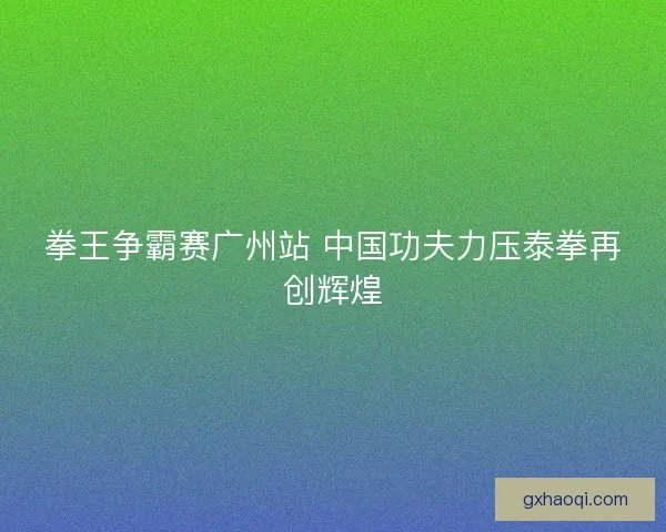 拳王争霸赛广州站 中国功夫力压泰拳再创辉煌