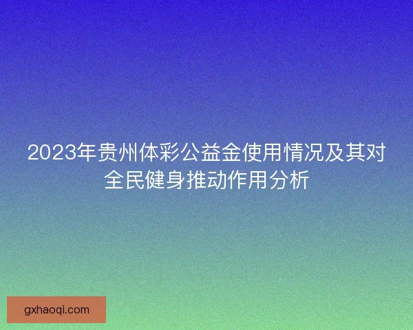 2023年贵州体彩公益金使用情况及其对全民健身推动作用分析